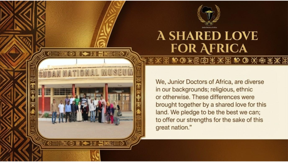 Junior Doctors of Africa Network United Voice2